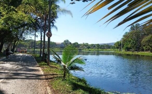 com-caminhada,-oficinas,-sorteio-de-brindes-e-atividades-recreativas,-ufmg-nas-ruas-e-realizado-em-montes-claros