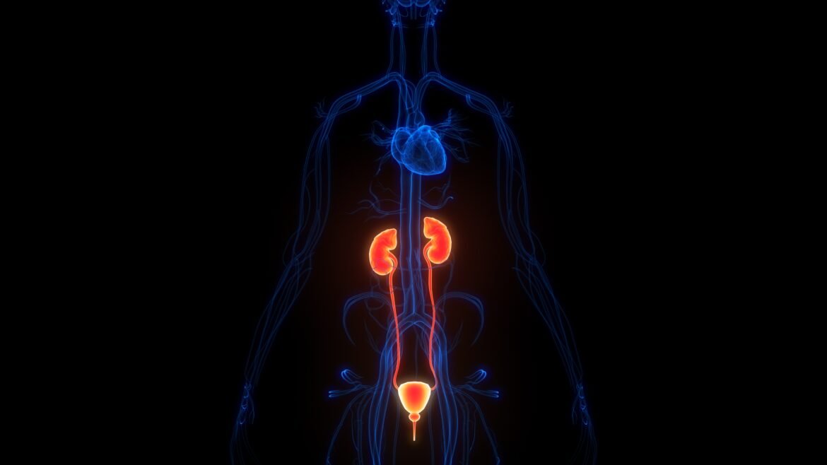 novo-exame-identifica-quase-98%-das-lesoes-de-tipo-mais-comum-de-cancer-de-rim