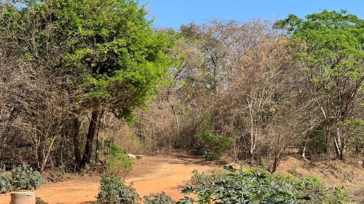 casal-encontrado-carbonizado-foi-assassinado-por-causa-de-r$-60-em-montes-claros,-diz-policia