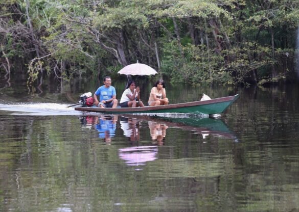 pgr-pede-ao-stf-para-derrubar-exigencia-de-autorizacao-previa-para-transporte-de-indigenas-no-2o-turno
