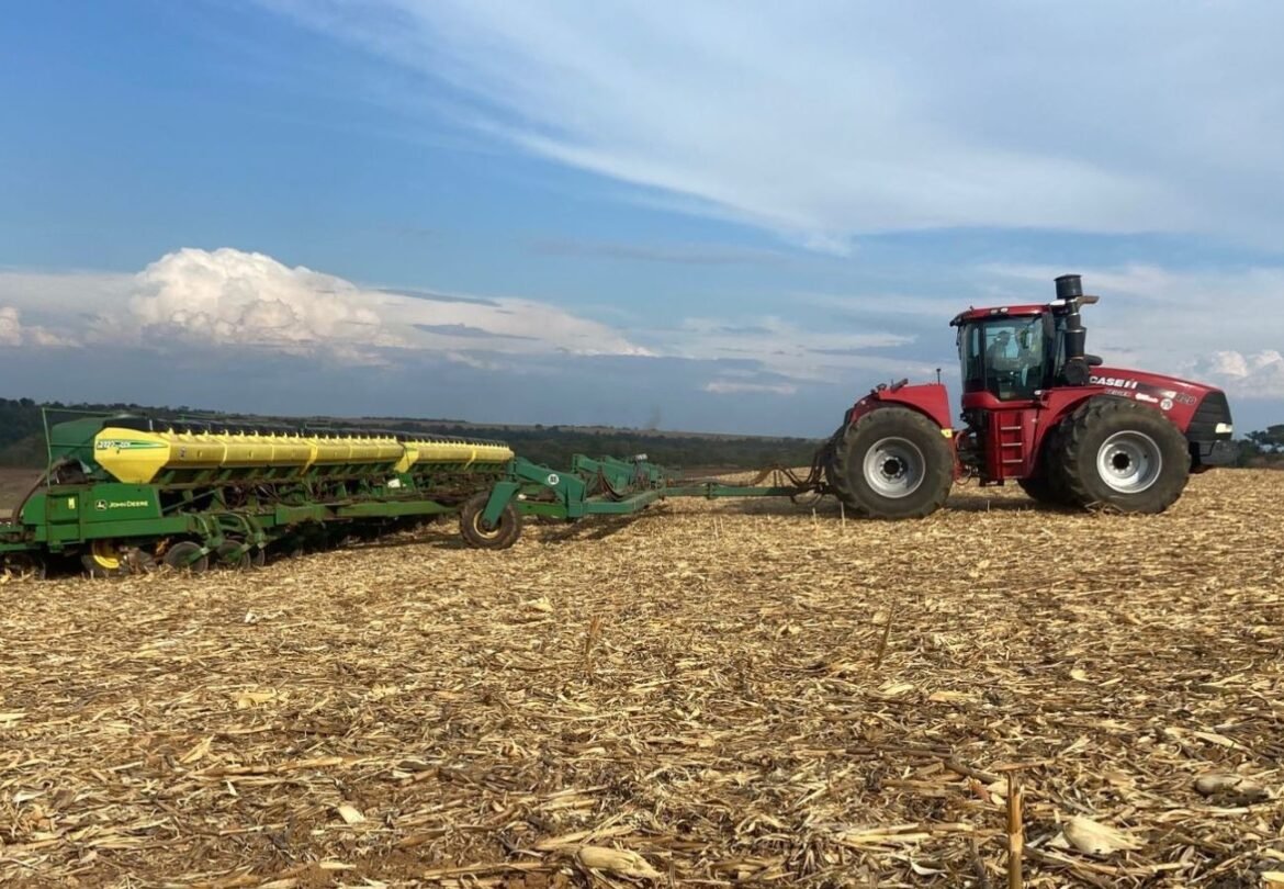 el-nino-pode-provocar-perdas-de-r$-33-bilhoes-na-safra-de-soja-do-brasil;-entenda-os-riscos-|-g1