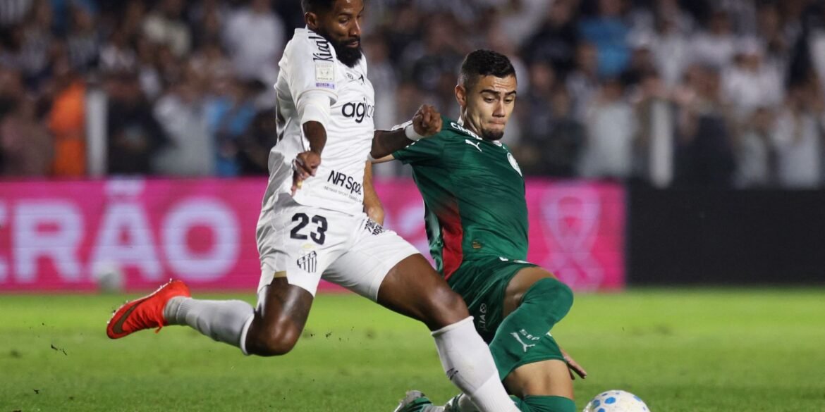 brasileirao:-palmeiras-fica-no-zero-com-o-santos-e-flamengo-agradece